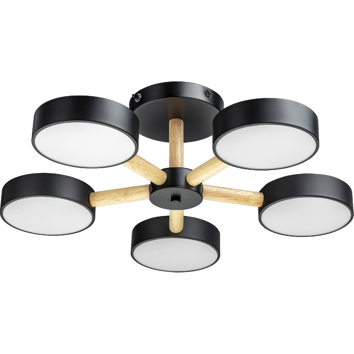 Люстра на штанге Ritter Scandia 51592 4