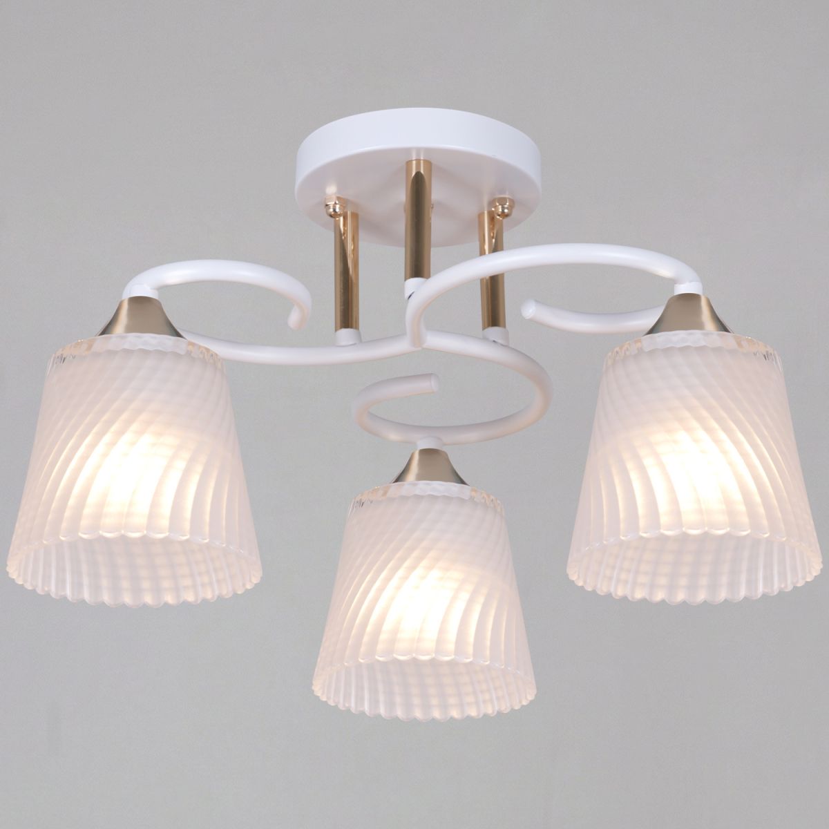 Потолочный светильник Reluce 06360-0.3-03 WH+FG