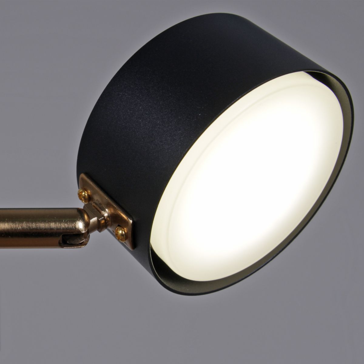 Люстра на штанге Reluce 06660-0.3-08 BK+COP GX53