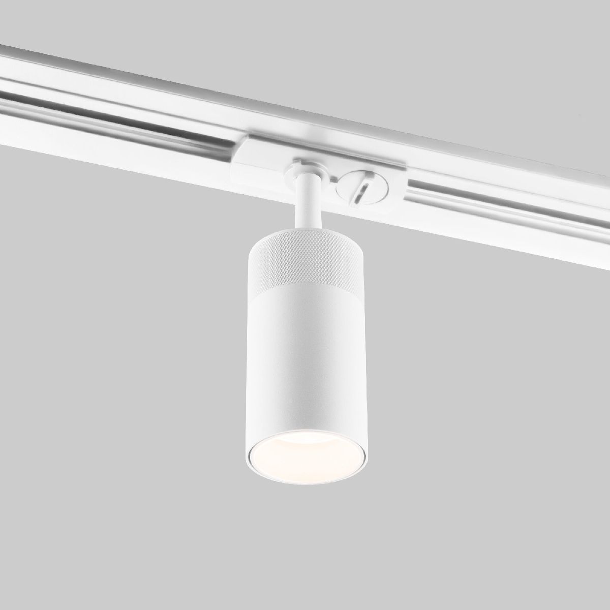 Трековый однофазный светильник Elektrostandard Riffe 4690389190445 a061659