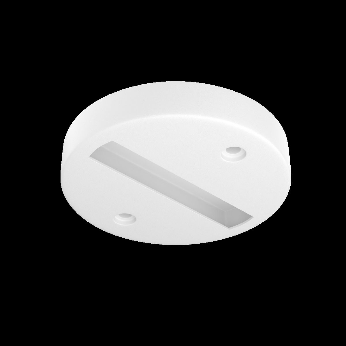 Шинопровод накладной Maytoni Radity TRA010-1-BS-W