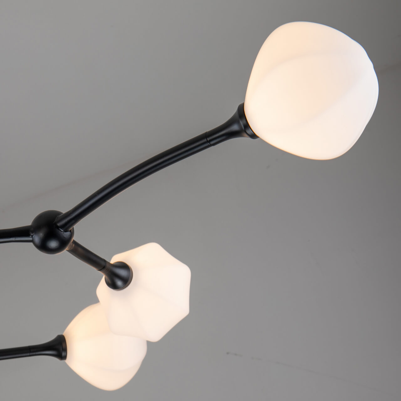 Потолочная люстра Favourite Suri 2688-9P