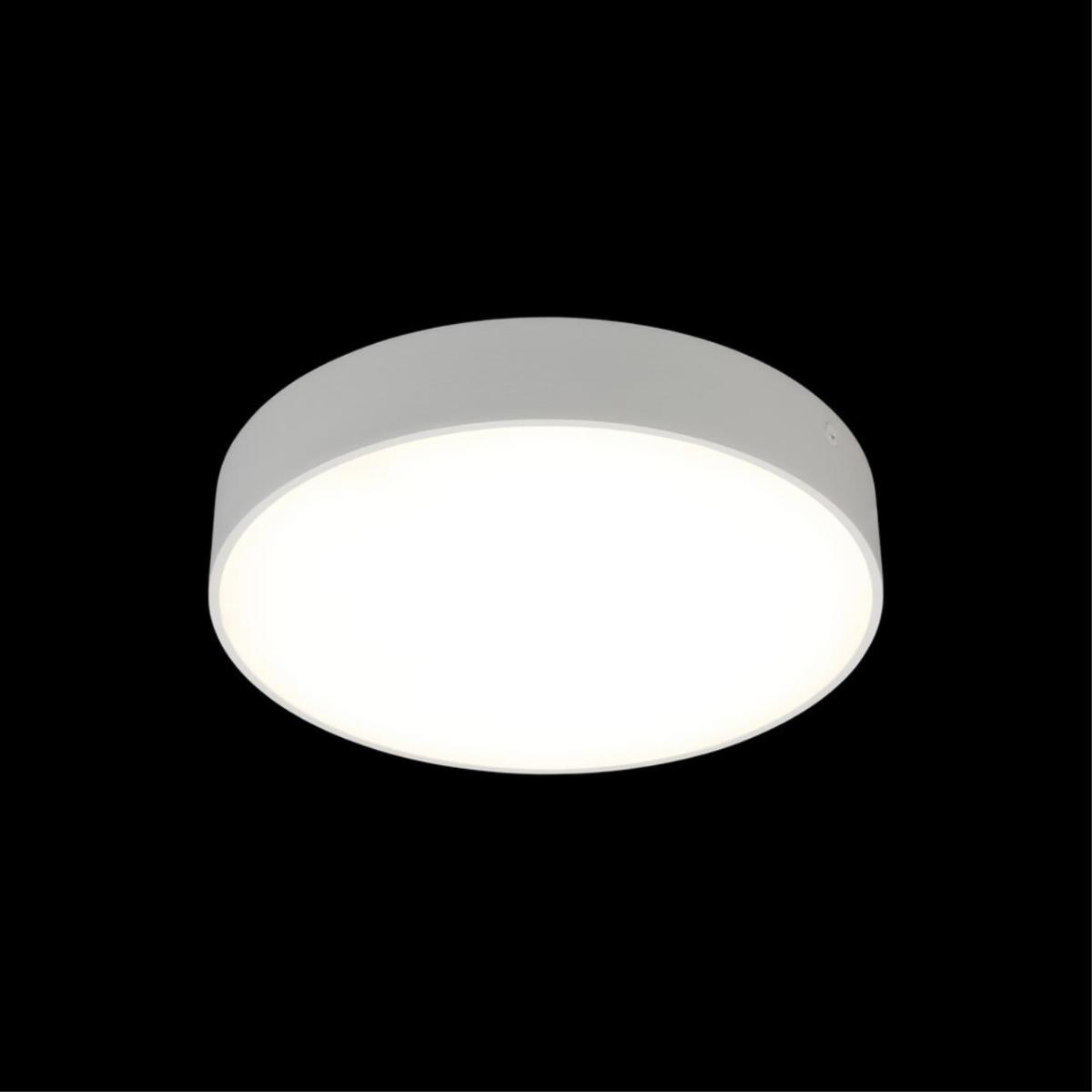 Потолочный светильник Aployt Evon APL.0114.09.24