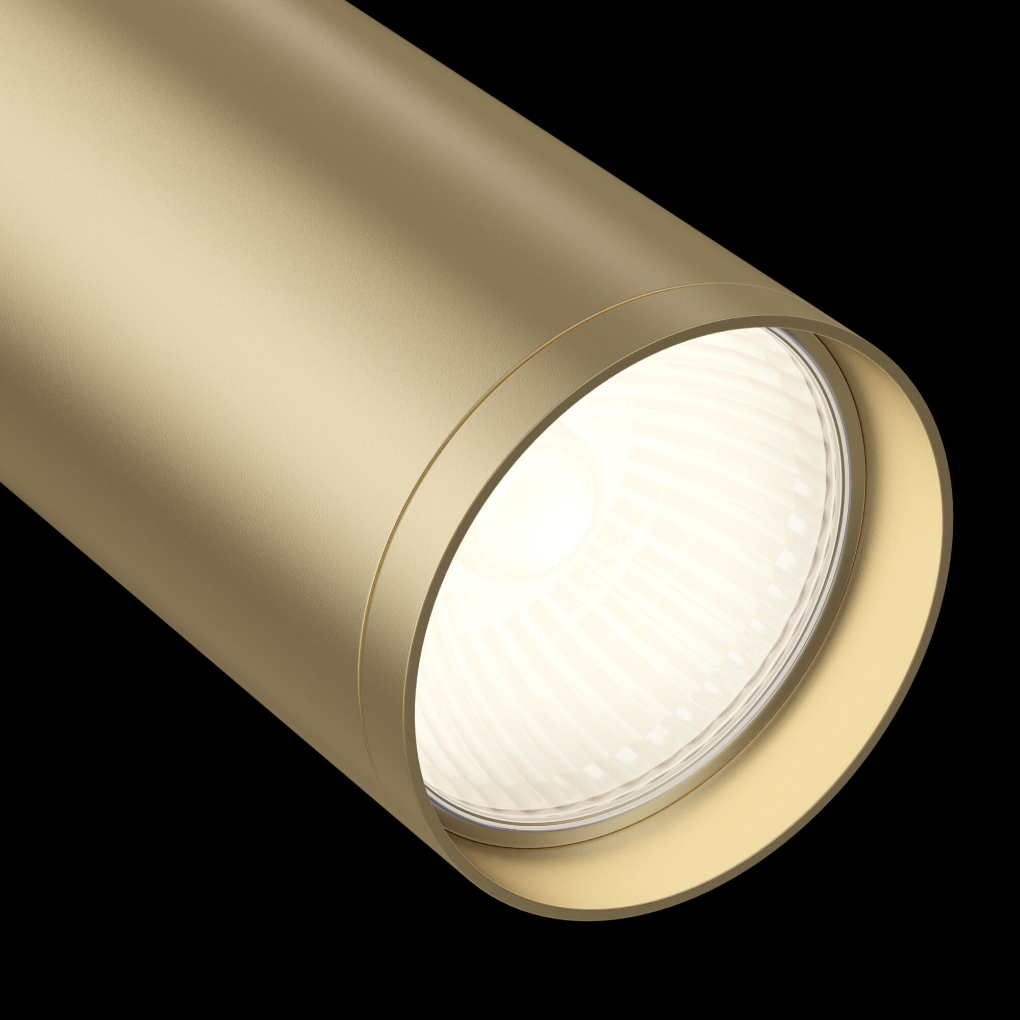 Трековый светильник Maytoni Focus S TR020-1-GU10-WMG