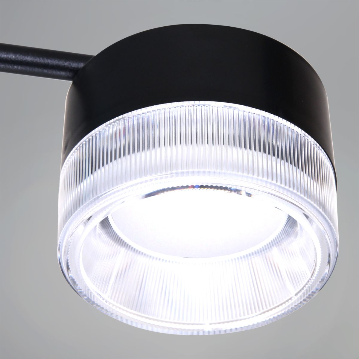 Потолочная люстра Reluce 19490-0.4-6+6 Black