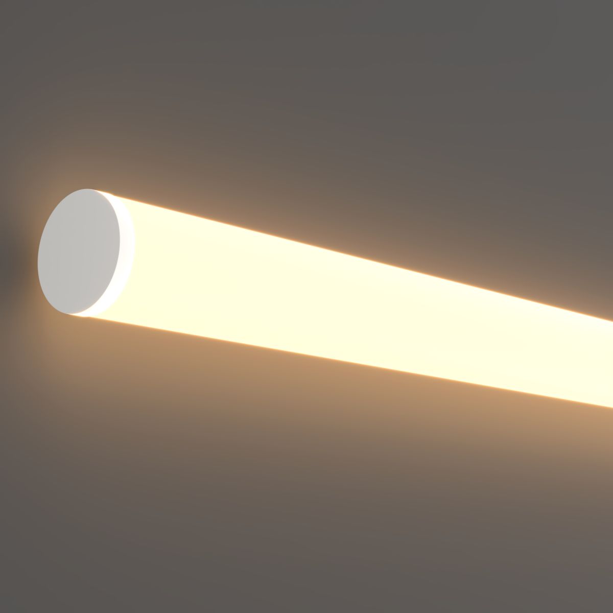 Гибкий неон Maytoni Nemo 24В 14,4Вт/м 3000К 5м IP65 201146