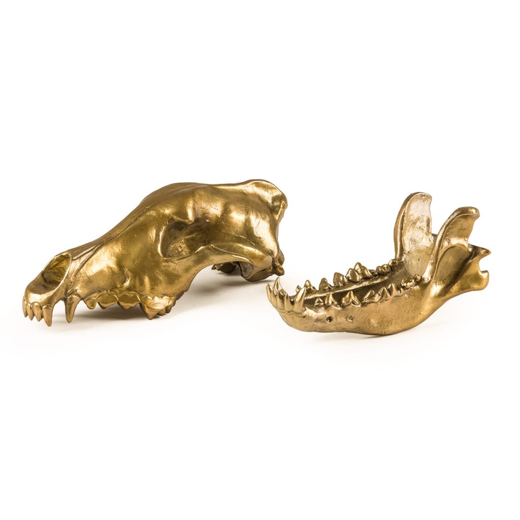 Статуэтка Wolf Skull Seletti Wunderkammer 10892