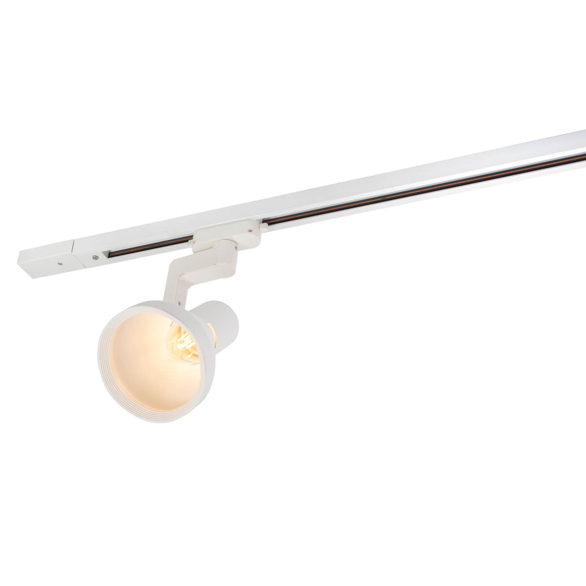 Светильник на шине Denkirs DK6010-WH