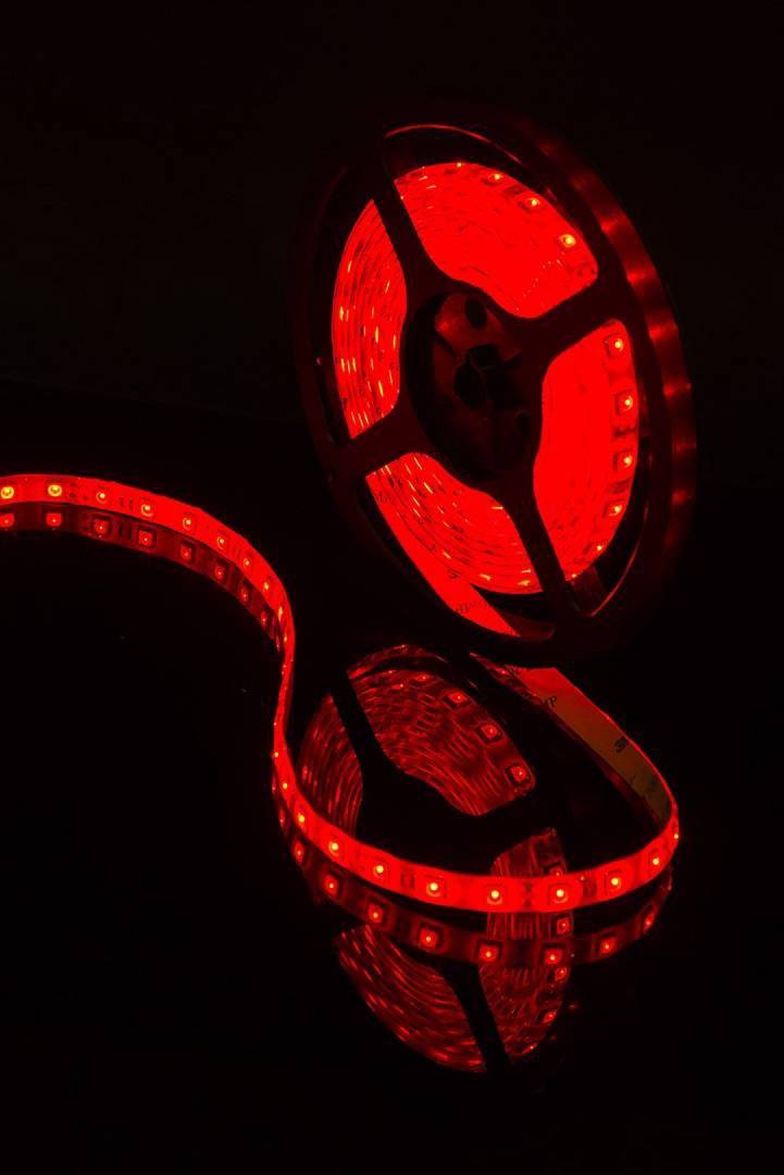 Светодиодная лента SWG SWG560-12-14.4-R-65-M 009264