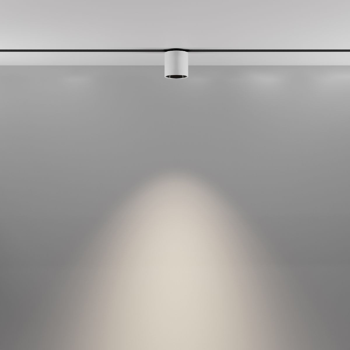 Трековый магнитный светильник Maytoni Alfa S TR132-2-7W4K-W