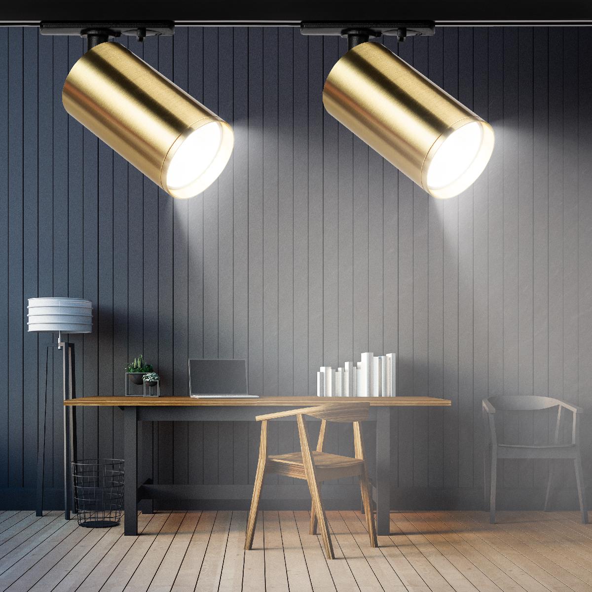 Трековый светильник Эра TR39-GU10 BS Б0053311