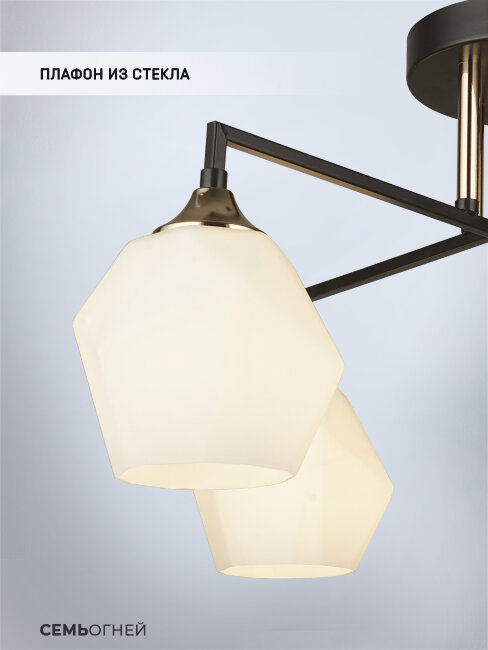 Потолочная люстра Wedo Light Turin 66586.01.15.06C