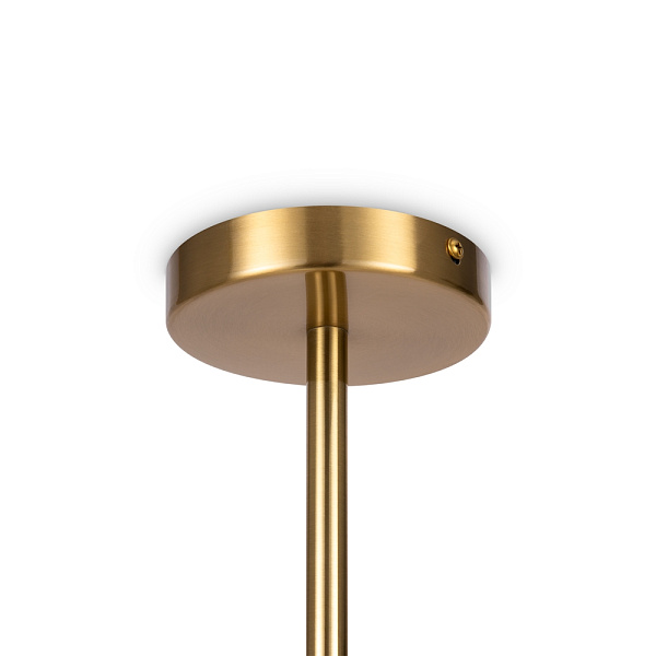 Подвесной светильник Freya Blossom FR5259PL-02BS