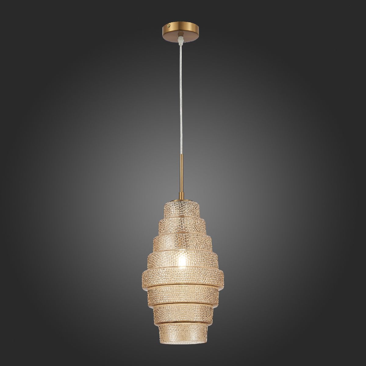 Подвесной светильник ST Luce Rexite SL1001.203.01