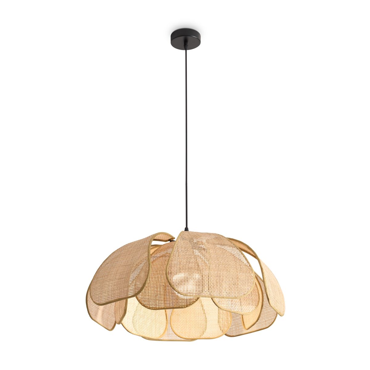 Подвесная люстра Freya Cocoon FR5529PL-01B