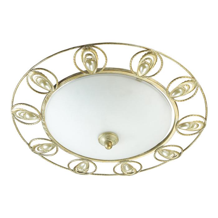 Потолочный светильник Odeon Light Kanti 3483/2C