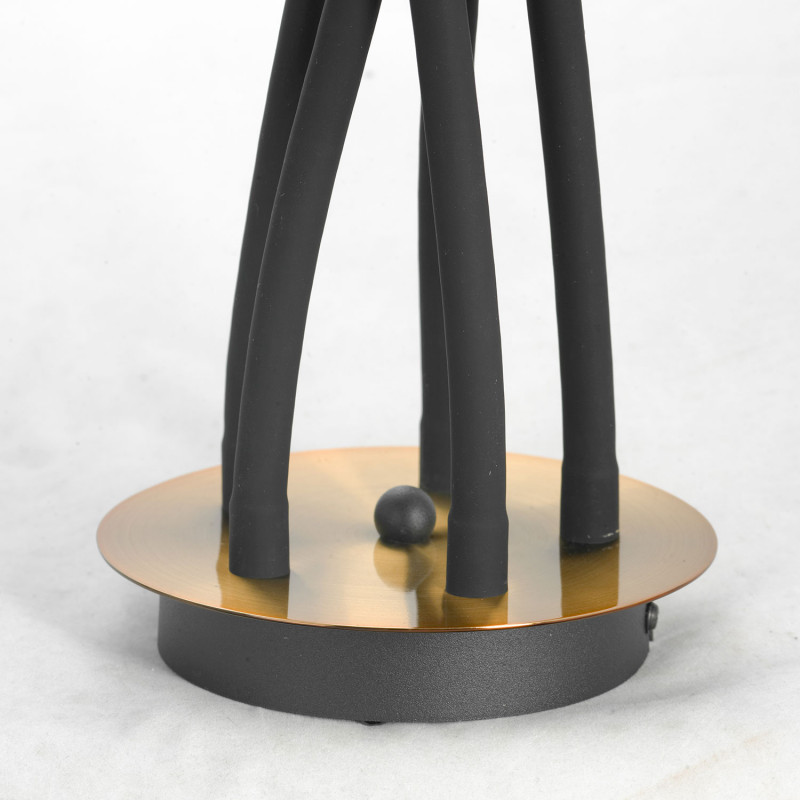 Накладной светильник Lussole Lgo Regina LSP-8342