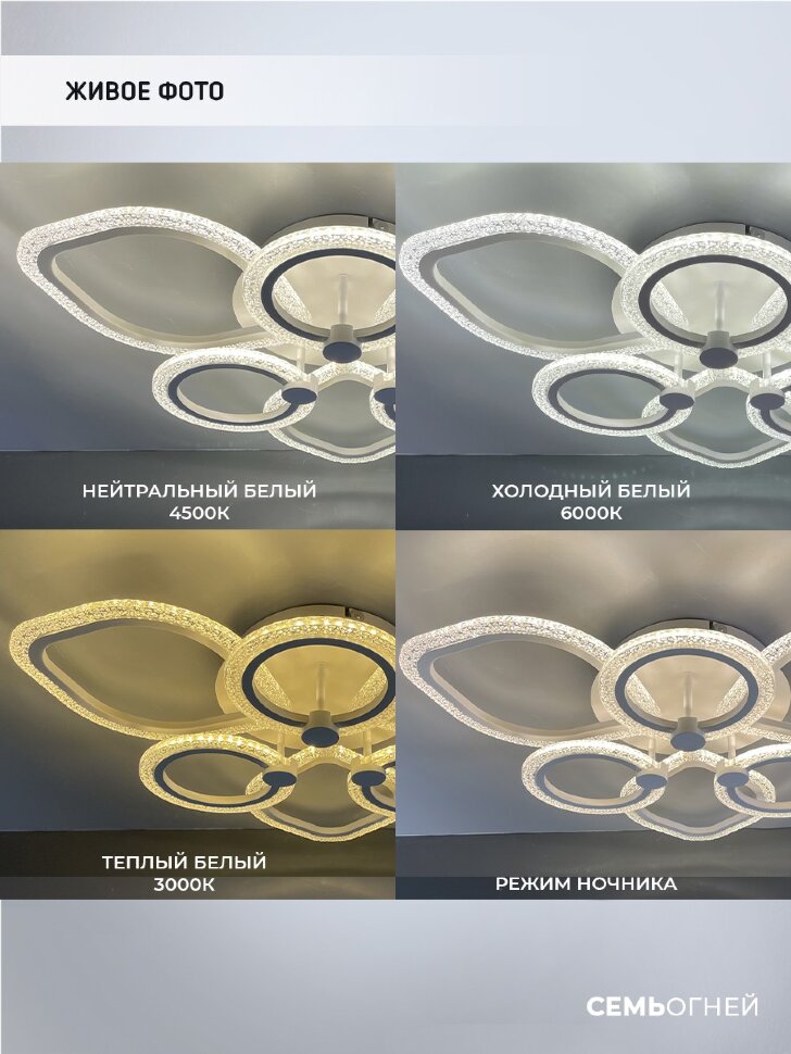 Потолочная люстра Seven Fires Meri SF7103/6C-WT