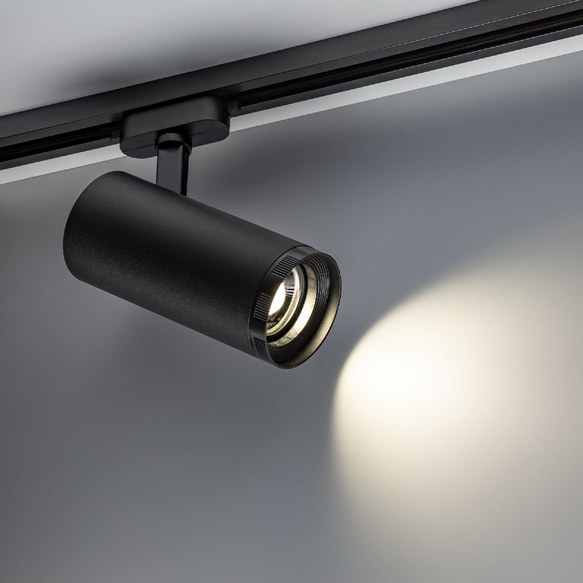 Трековый однофазный светильник Ritter Artline 59742 5