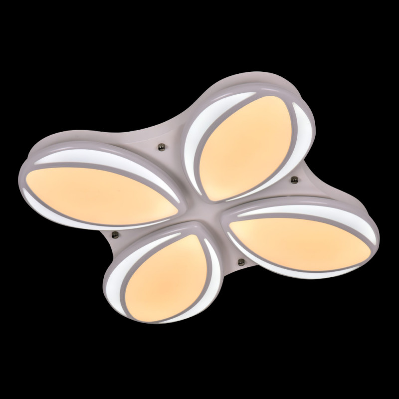 Потолочный светильник Adilux 1011