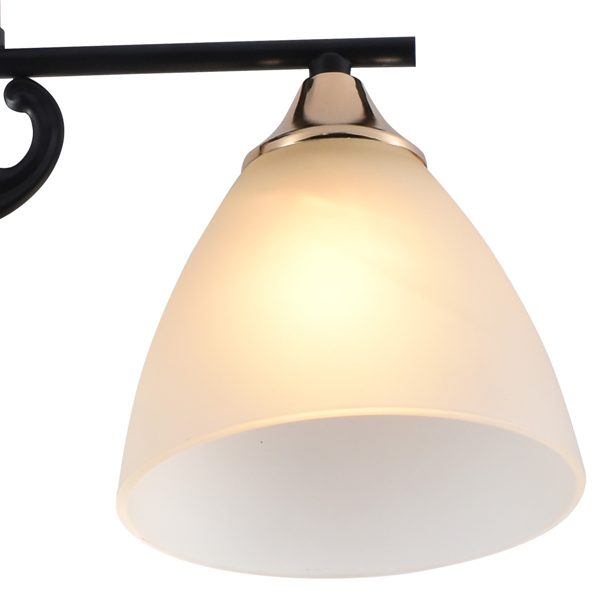 Люстра на штанге Reluce 01278-0.3-02B BK+FGD