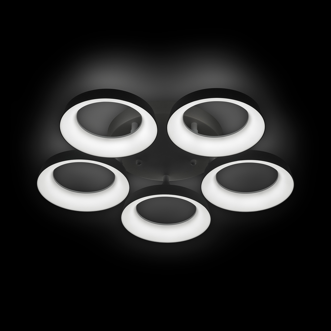 Потолочная люстра Ritter Verona 52013 9