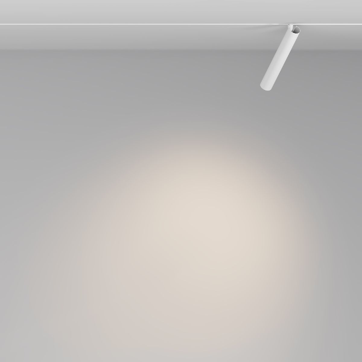 Трековый магнитный светильник Maytoni Focus T TR141-2-6W3K-M-W