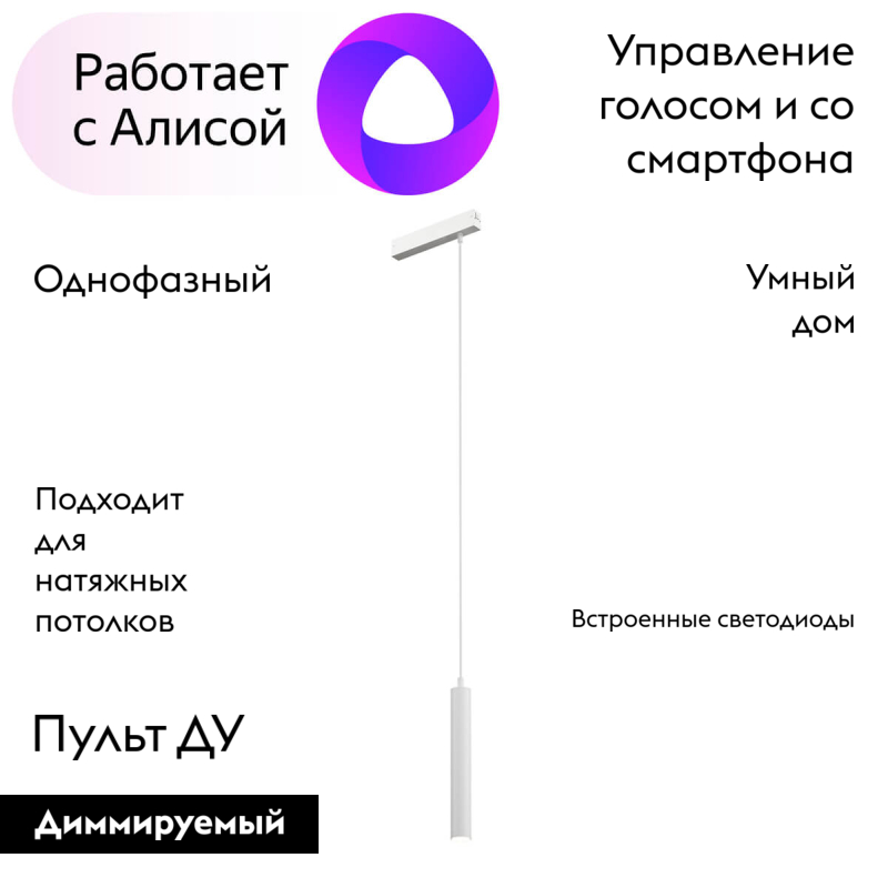 Трековый светильник Denkirs Smart DK8008-WH