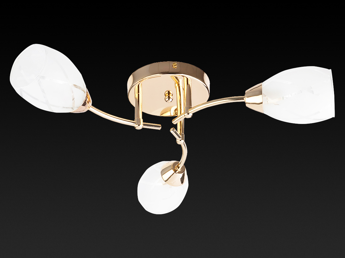 Потолочная люстра Toplight Lucy TL7120X-03FG