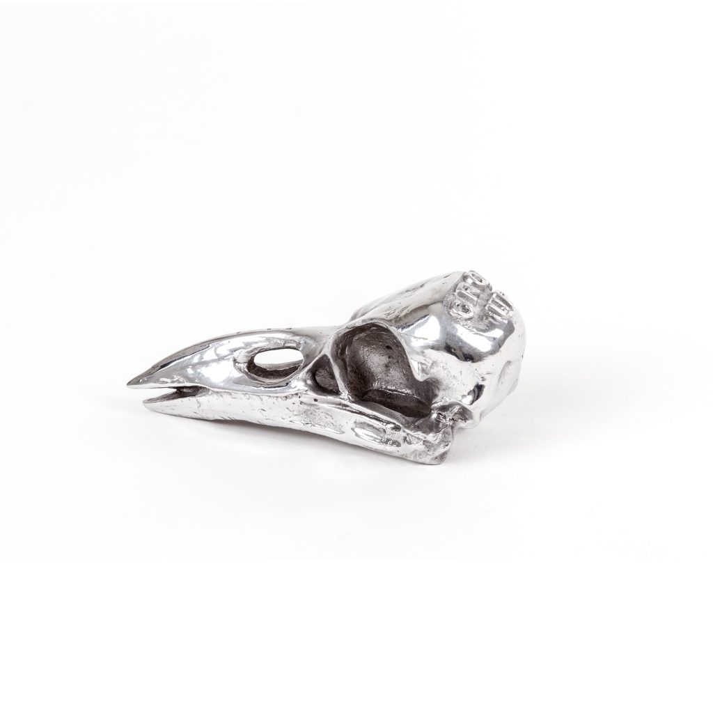 Статуэтка Bird Skull Seletti Wunderkammer 10895