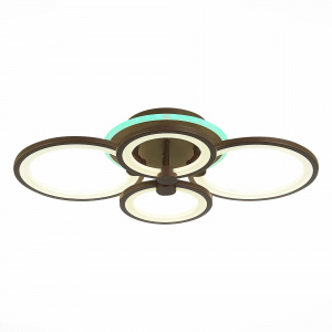 Потолочный светодиодный светильник Evoluce Intensity SLE900072-04RGB