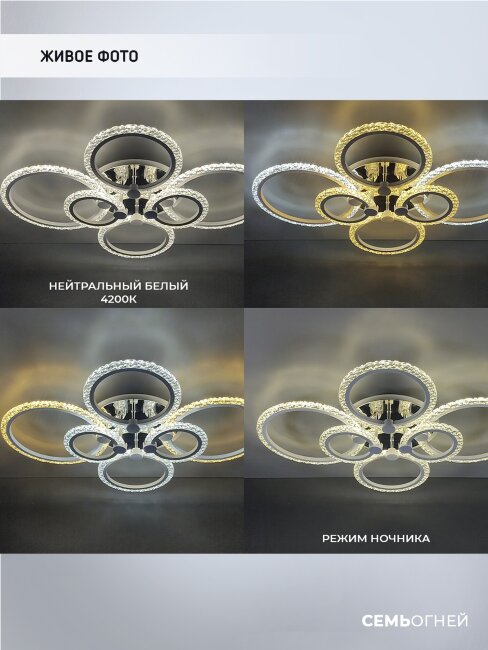 Потолочная люстра Wedo Light Fumane WD7501/6C-WT-CR-RGB