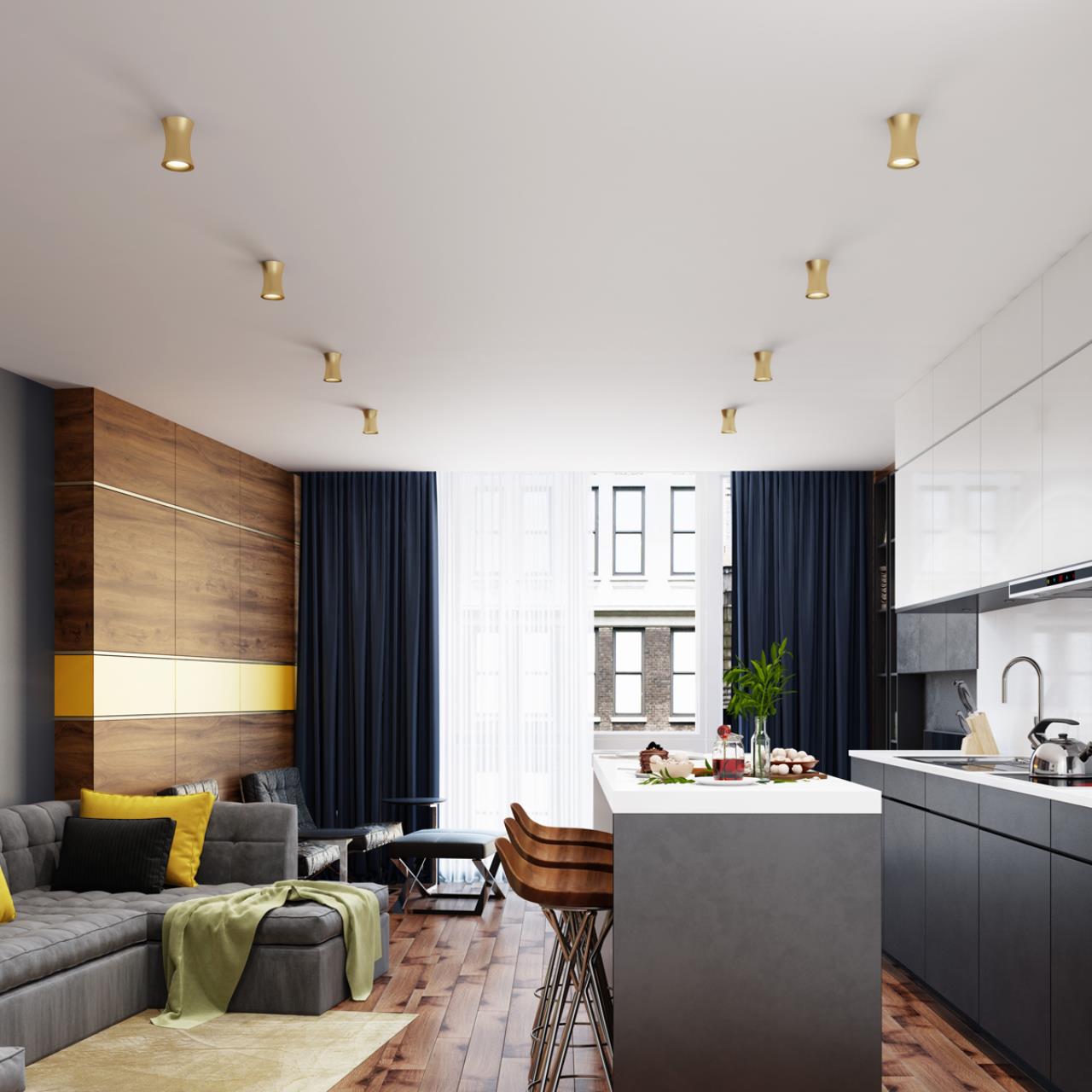 Потолочный накладной светильник Odeon Light Zetta 4226/1C