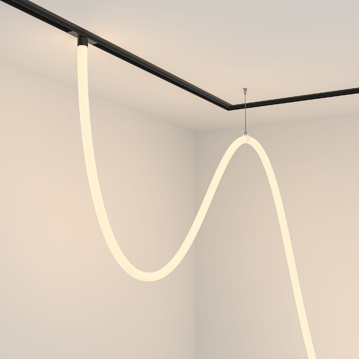 Трековый подвесной светильник Maytoni Tau TR101-2-100W3K-B