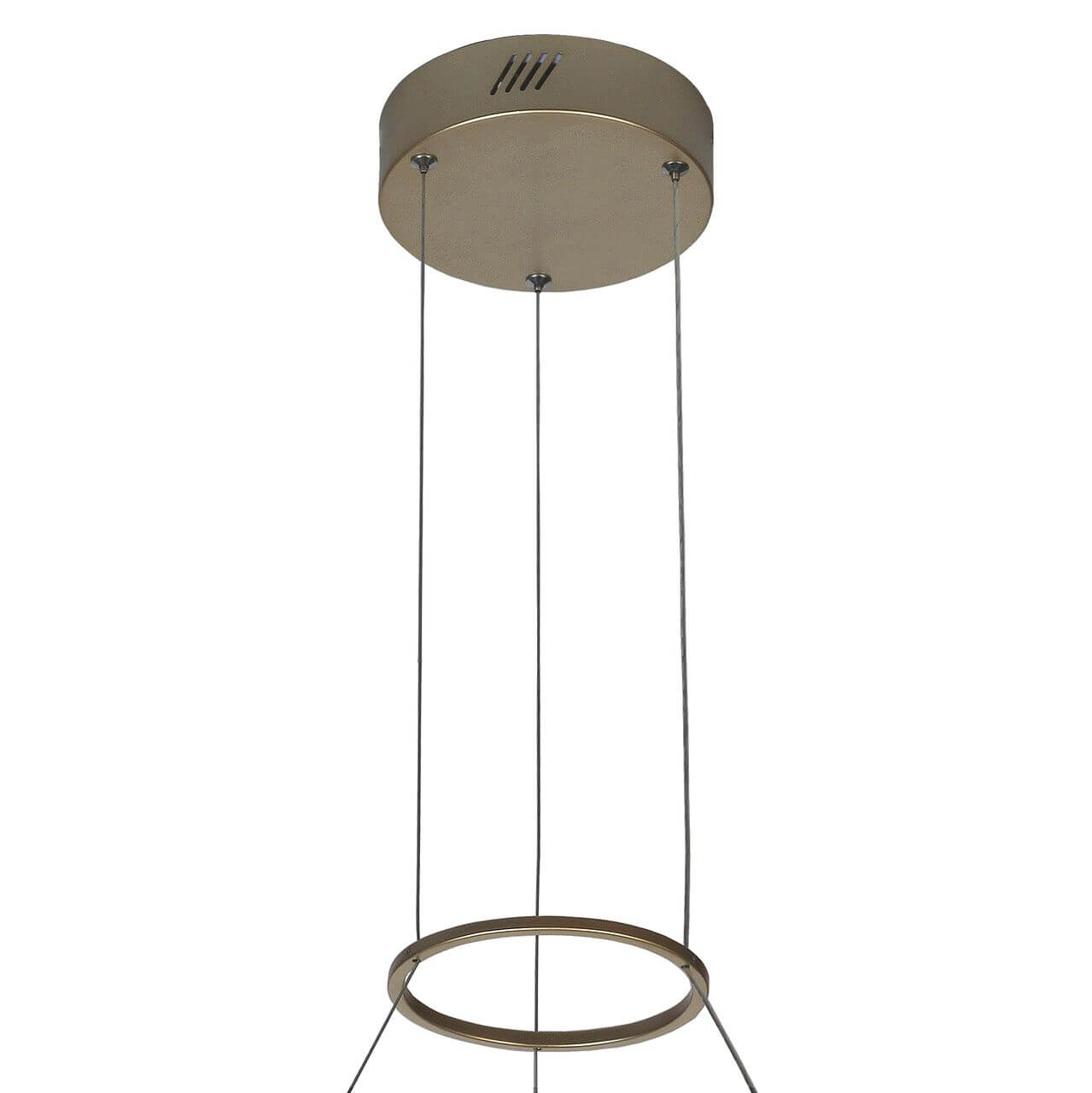 Подвесной светодиодный светильник Favourite Feather 2353-5P