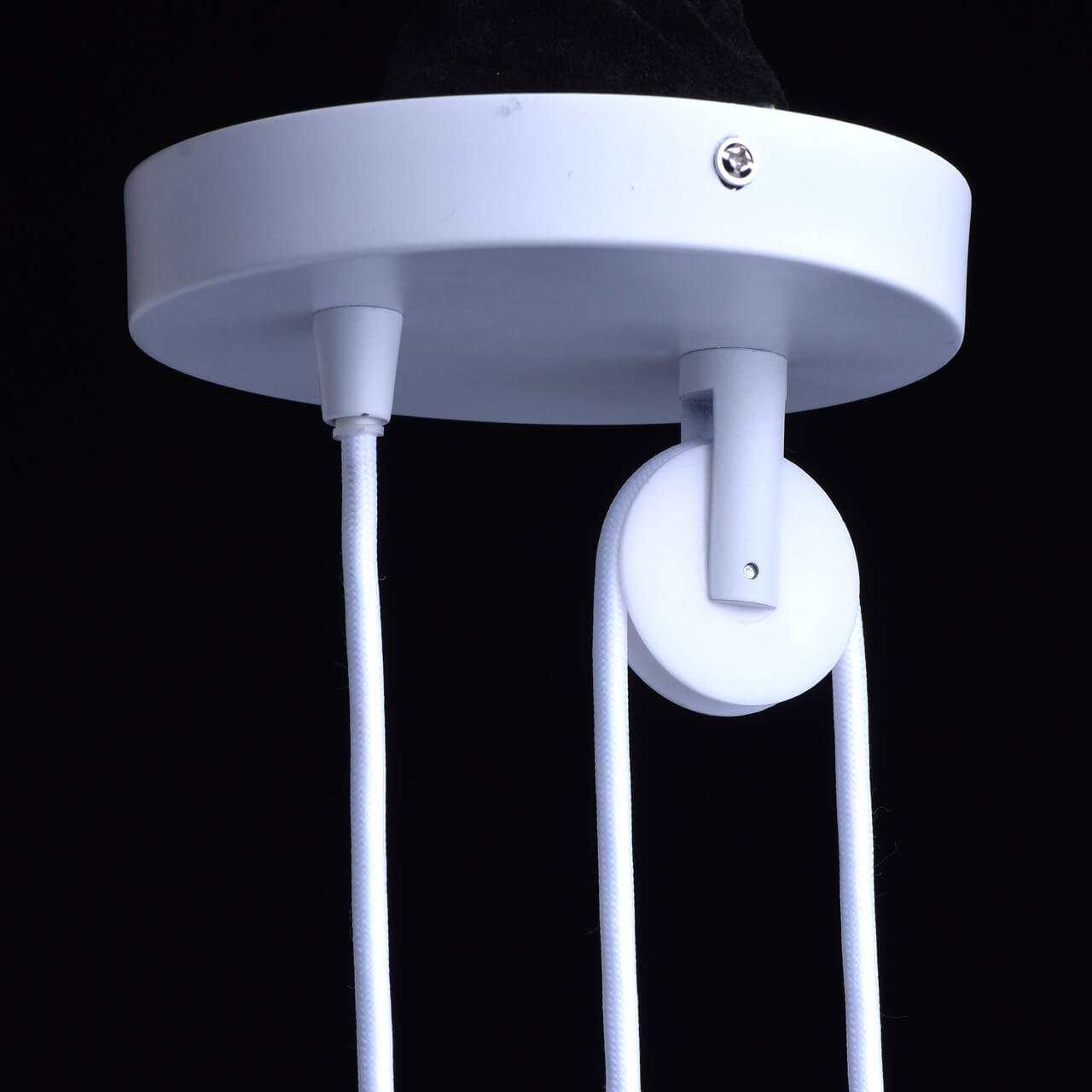 Подвесной светильник De Markt Хоф 497014501