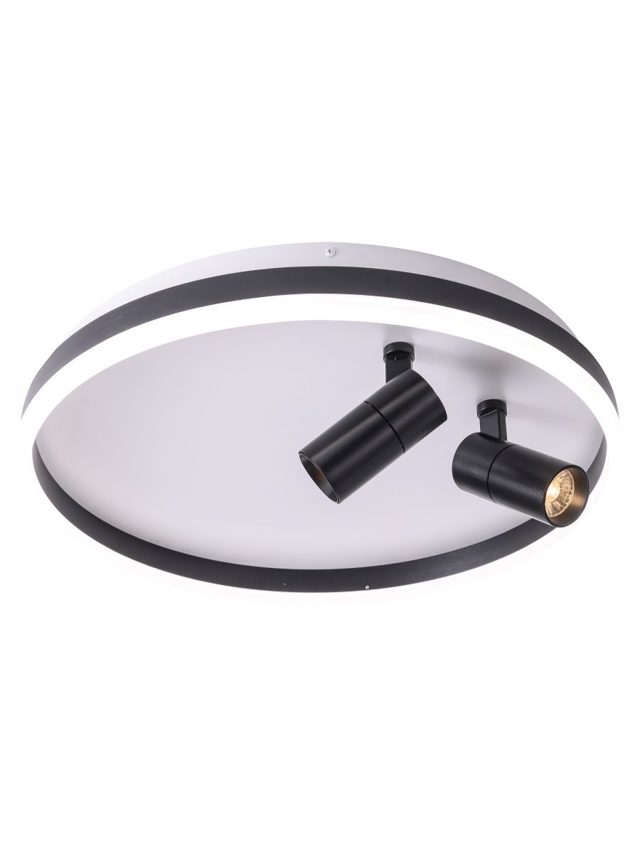 Потолочный светильник Zortes Raizy ZRS.1888.01