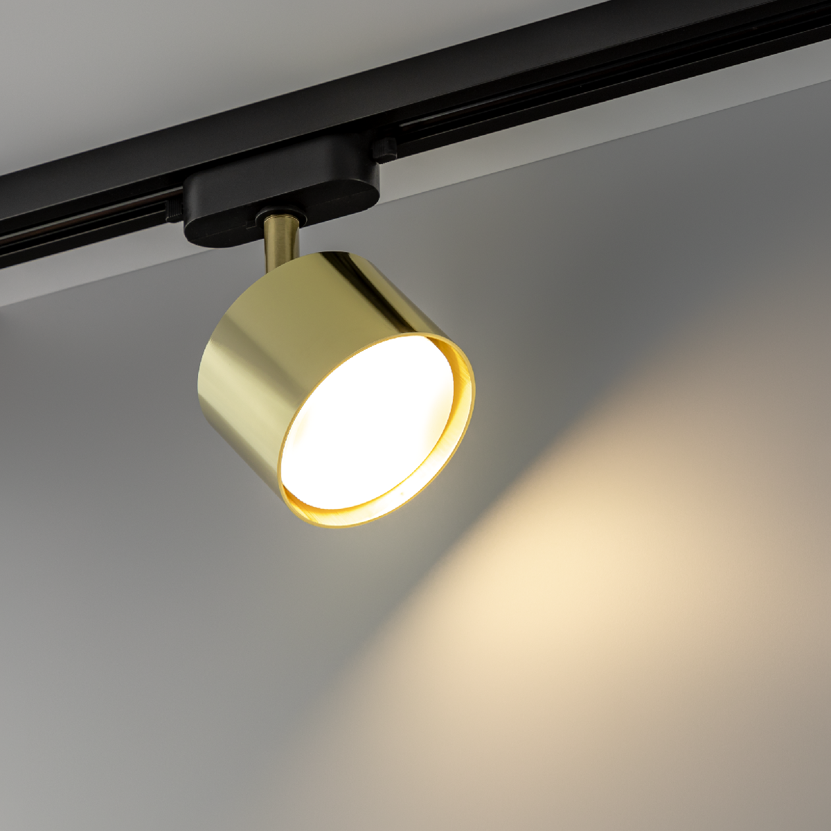 Трековый однофазный светильник Ritter Artline 59860 6