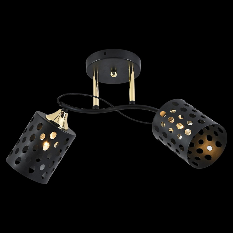 Потолочный светильник Reluce 01385-0.3-02 BK+FGD