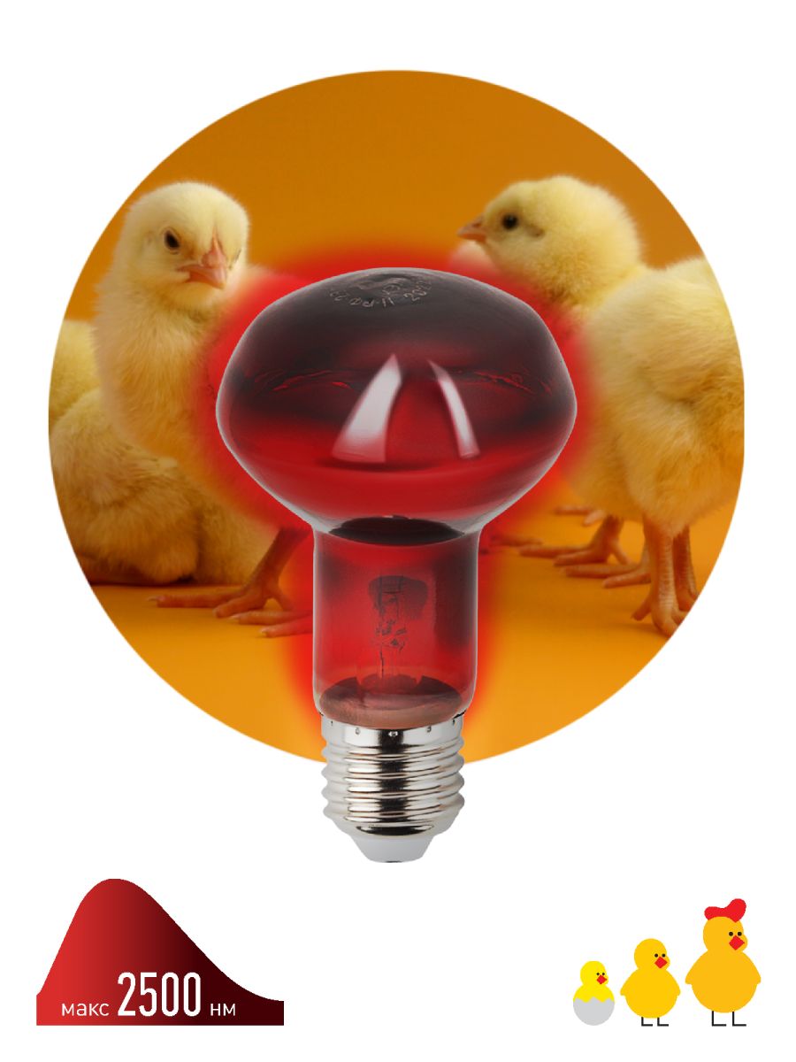 Инфракрасная лампа для обогрева животных Эра ИКЗК 230-60 R63 Е27 Б0057281