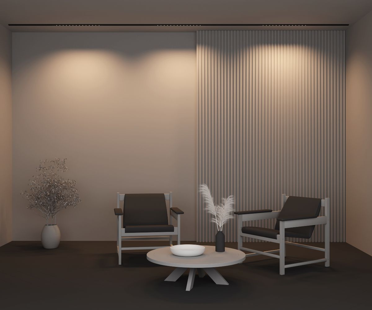 Трековый магнитный светильник Maytoni Points TR174-1-24WTW-M-B