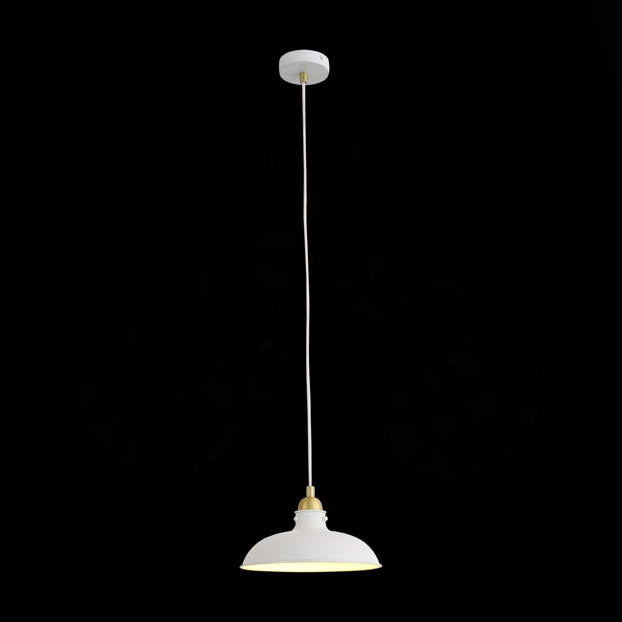 Подвесной светильник ST Luce Pietanza SL323.503.01