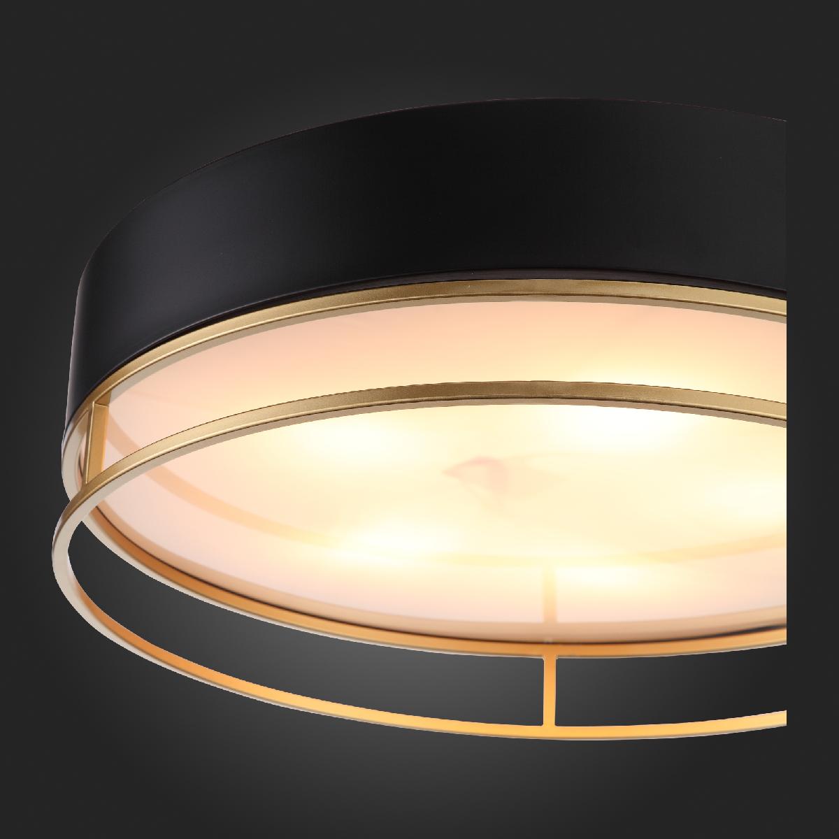 Накладная люстра ST-Luce SL1127.432.05