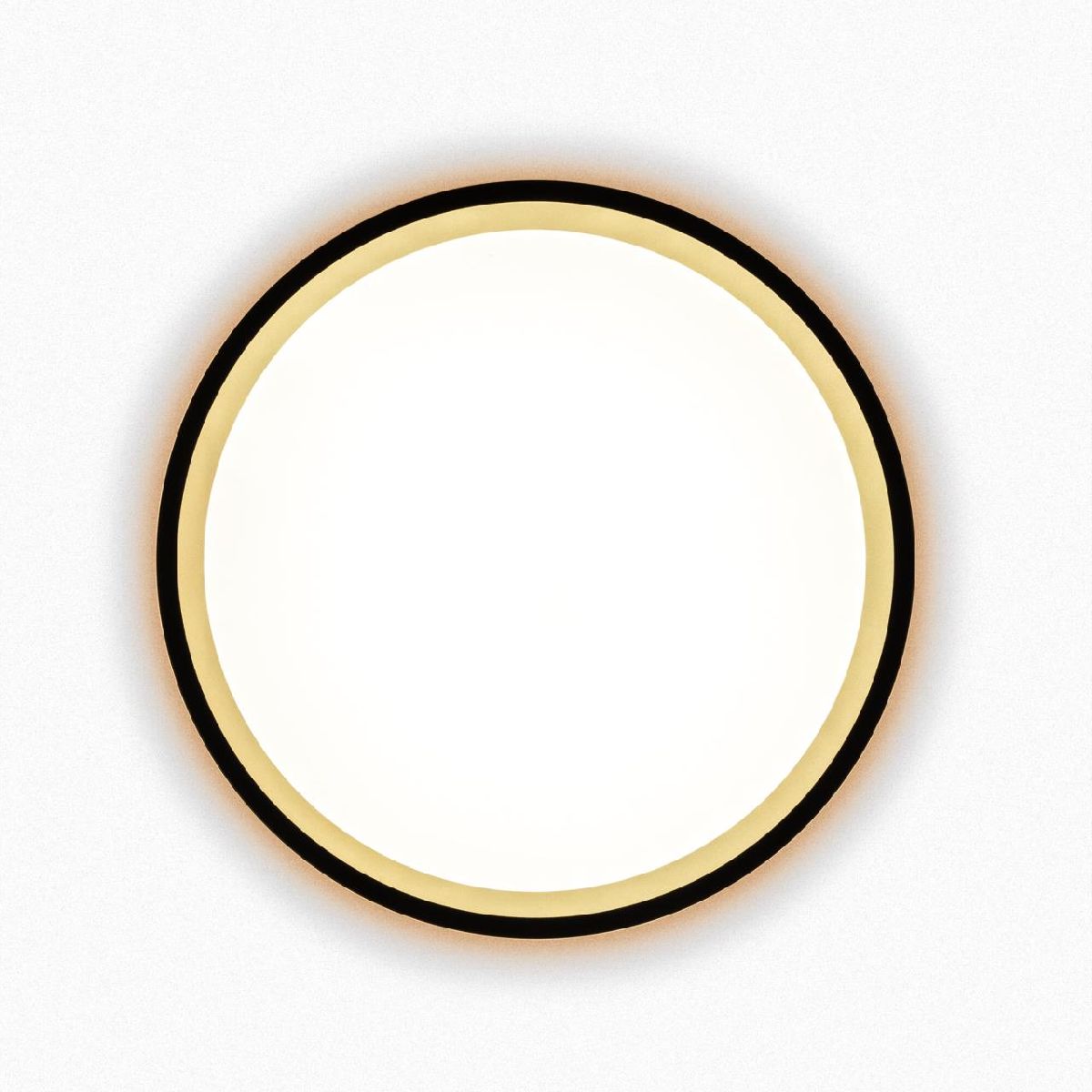 Настенно-потолочный светильник Citilux Etalon CL750181