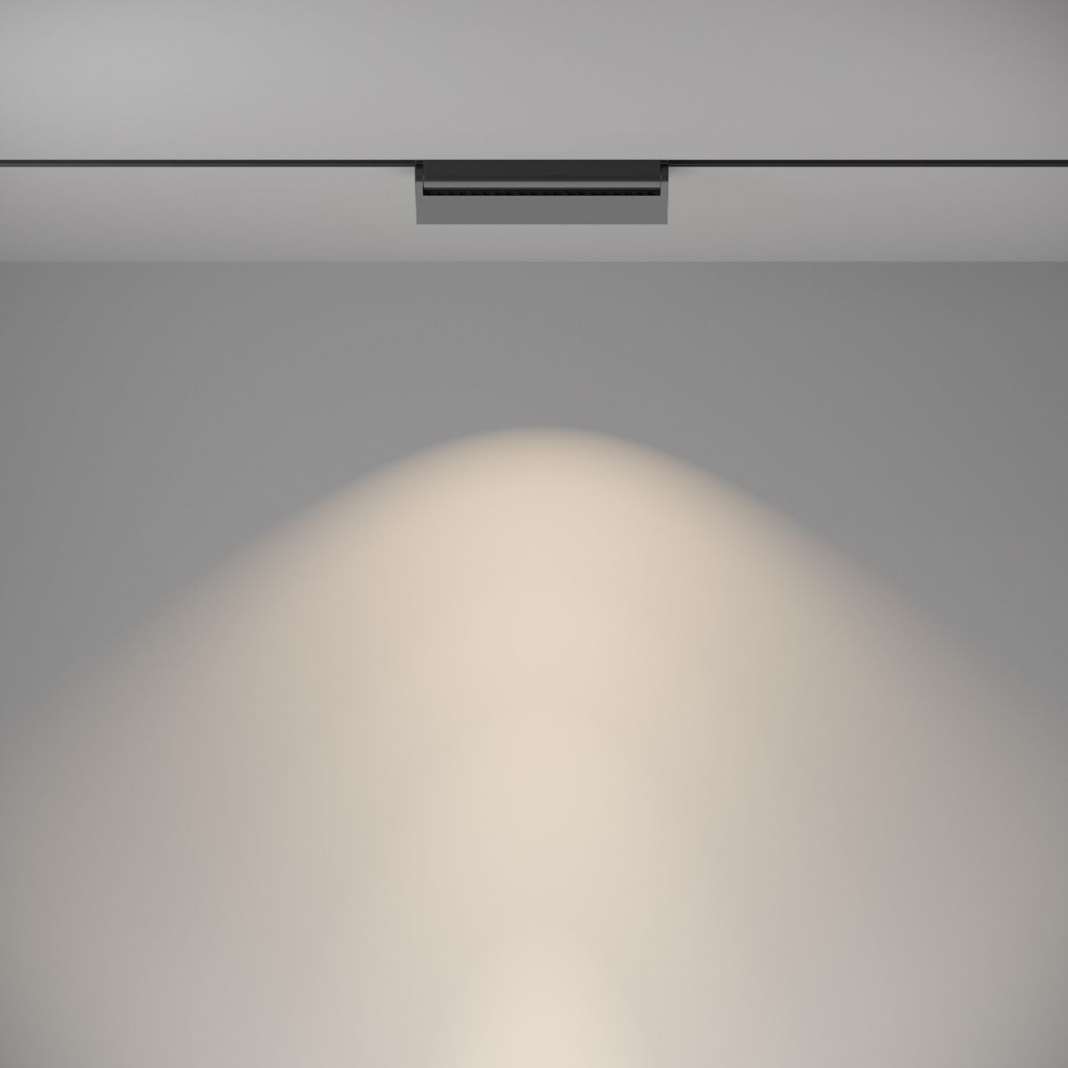 Трековый светильник Maytoni Track lamps TR013-2-20W4K-B