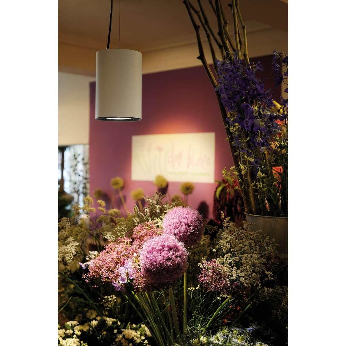 Подвесной светильник SLV Supros 1003276