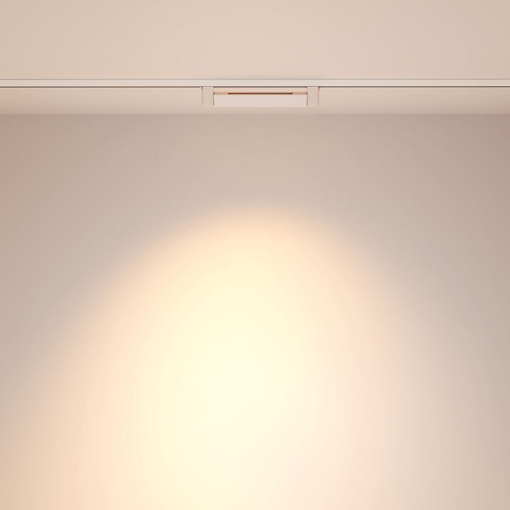 Трековый однофазный светильник Maytoni Points Rot TR010-1-10W3K-M-W