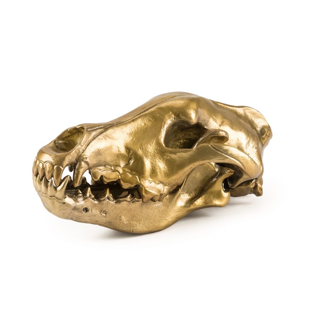 Статуэтка Wolf Skull Seletti Wunderkammer 10892