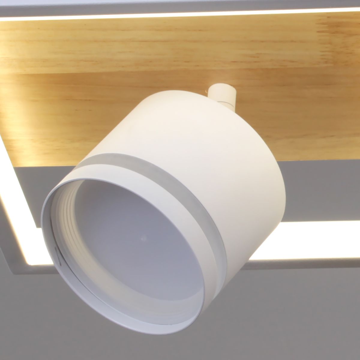 Потолочный светильник Reluce 19560-0.3-2+2 WH+WOOD