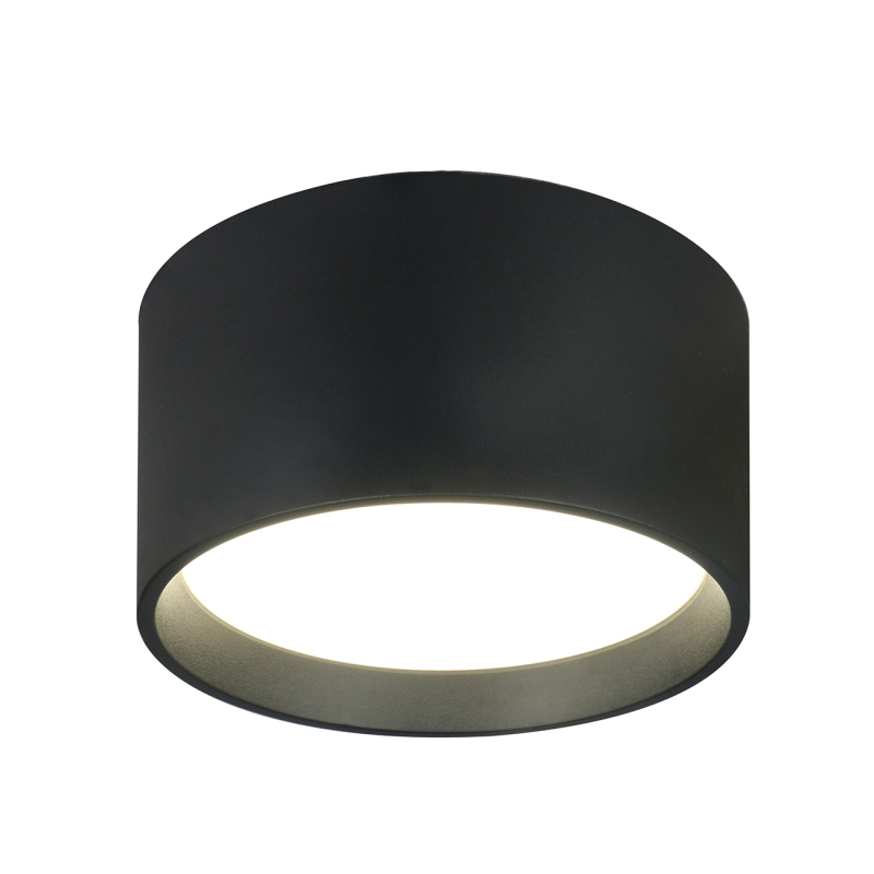 Потолочный светильник Escada 20005SMU/02LED SBK